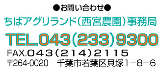 電話043-233-9300